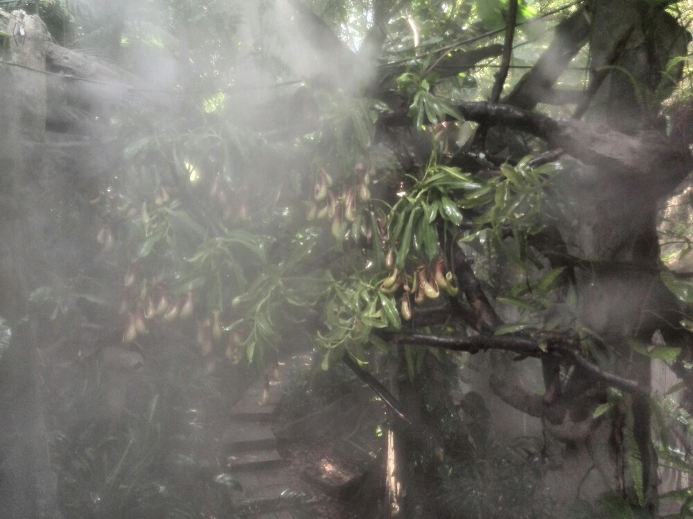 青青世界好玩吗_深圳青青世界好玩_深圳青青