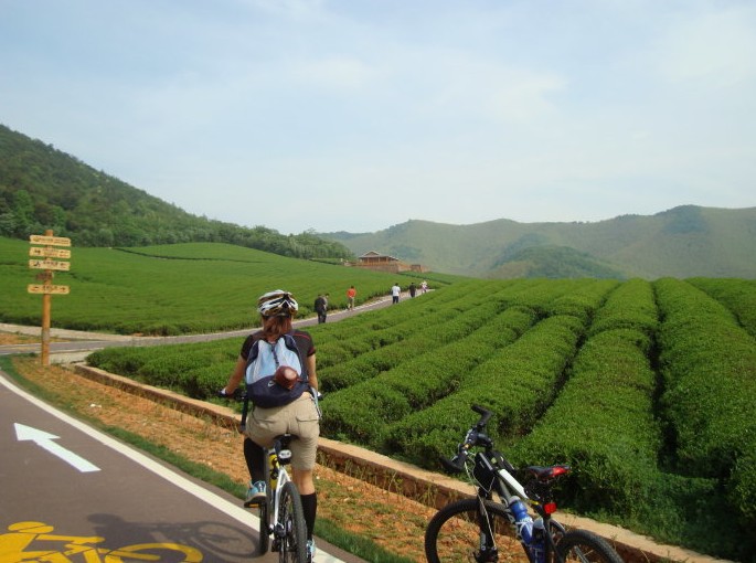 宜兴新玩法,龙池山自行车公园,骑行自然间