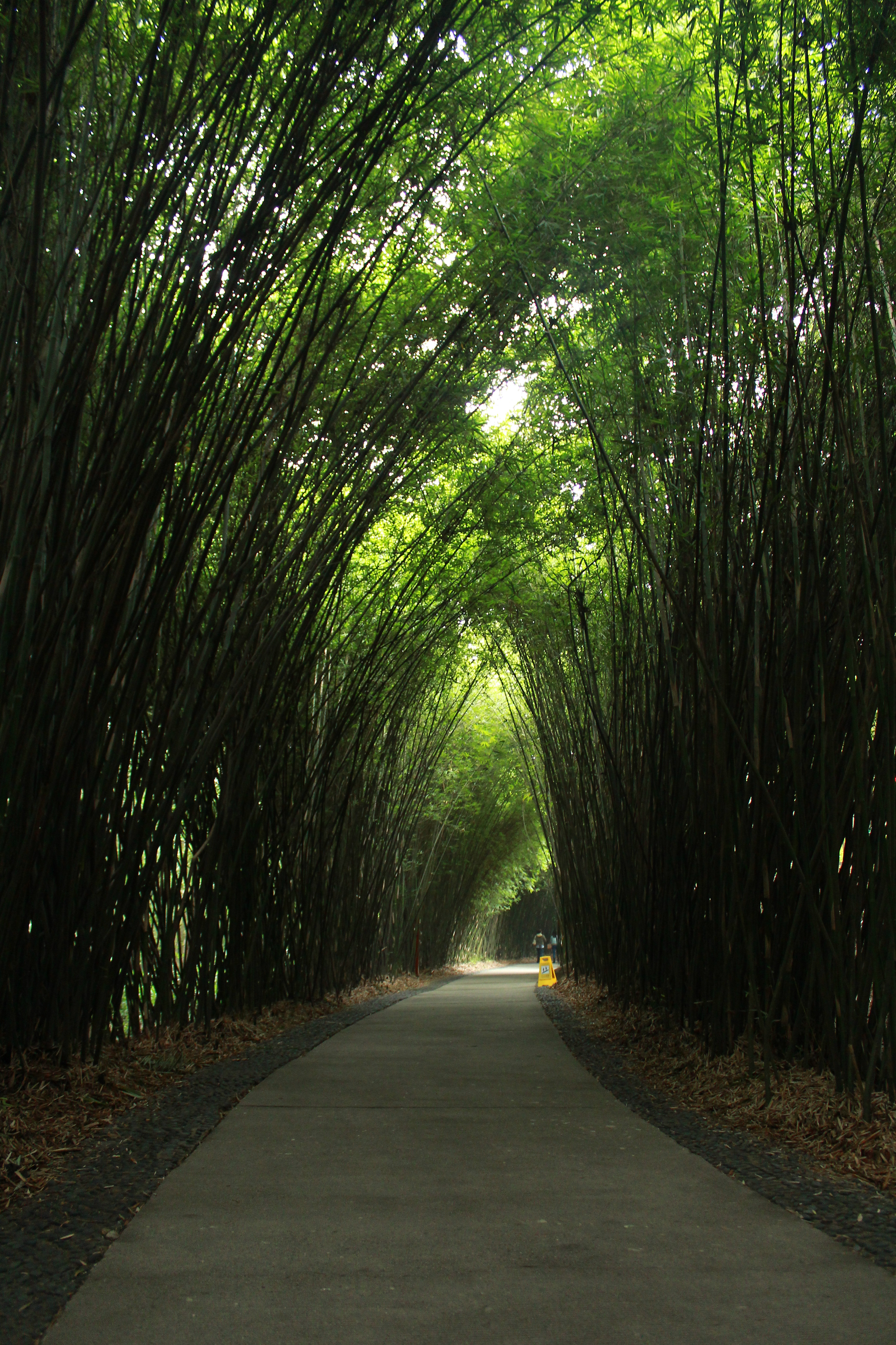 成都的风景