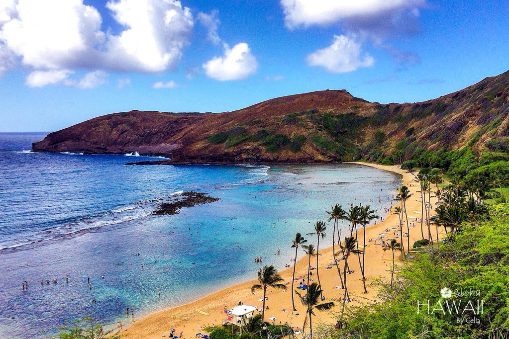 aloha~~夏威夷蜜月行(hawaii自拍婚纱照,茂宜岛一日游)