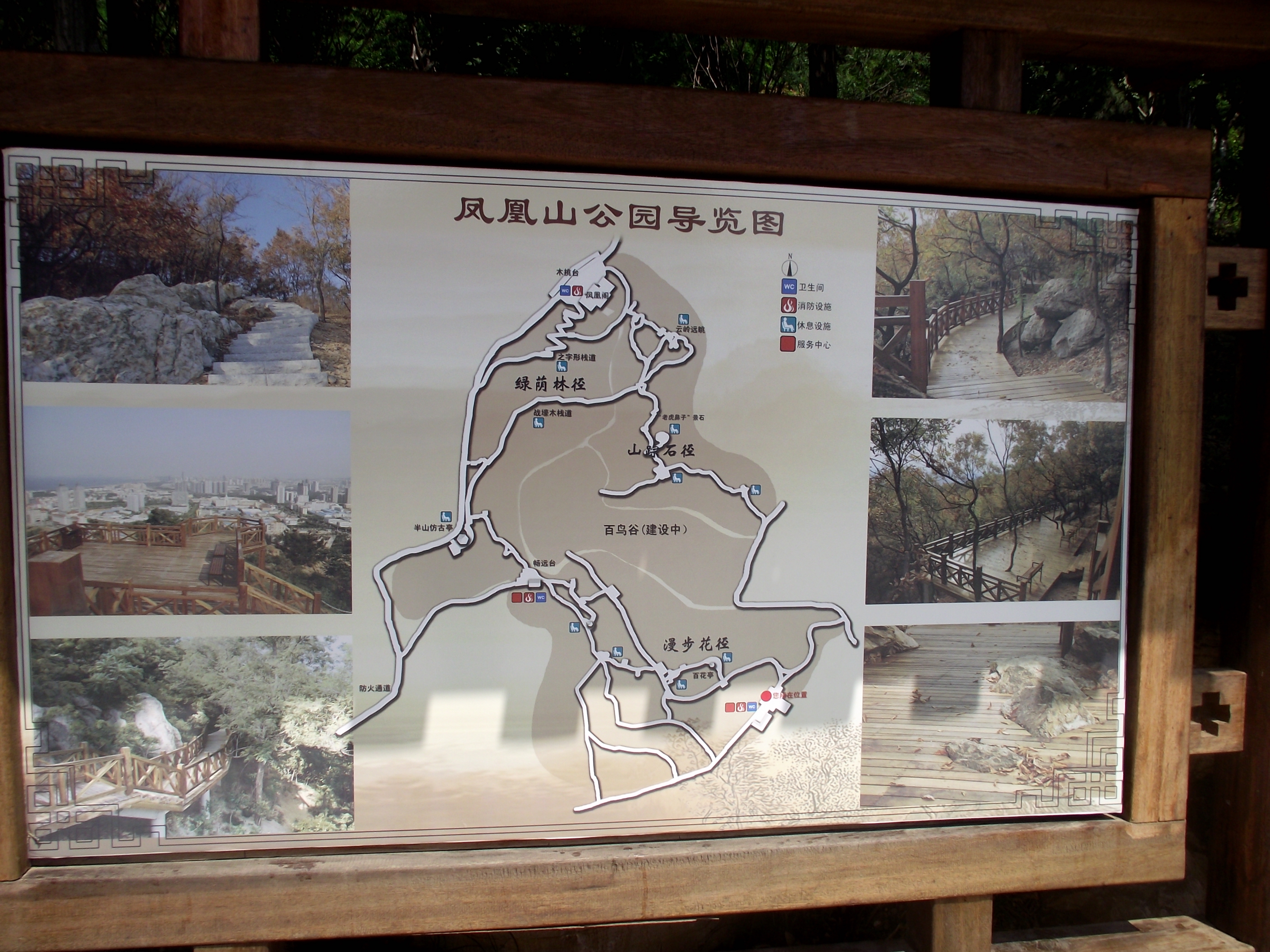 登上凤凰山公园,看海.