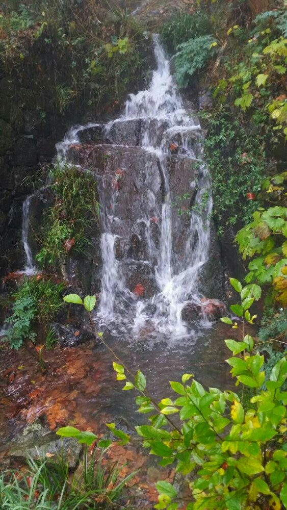 莫干山景区