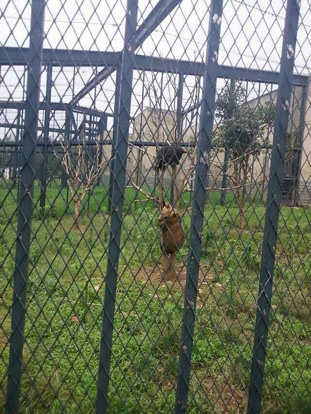 北京动物园海洋馆门票_无锡动物园海洋馆_无