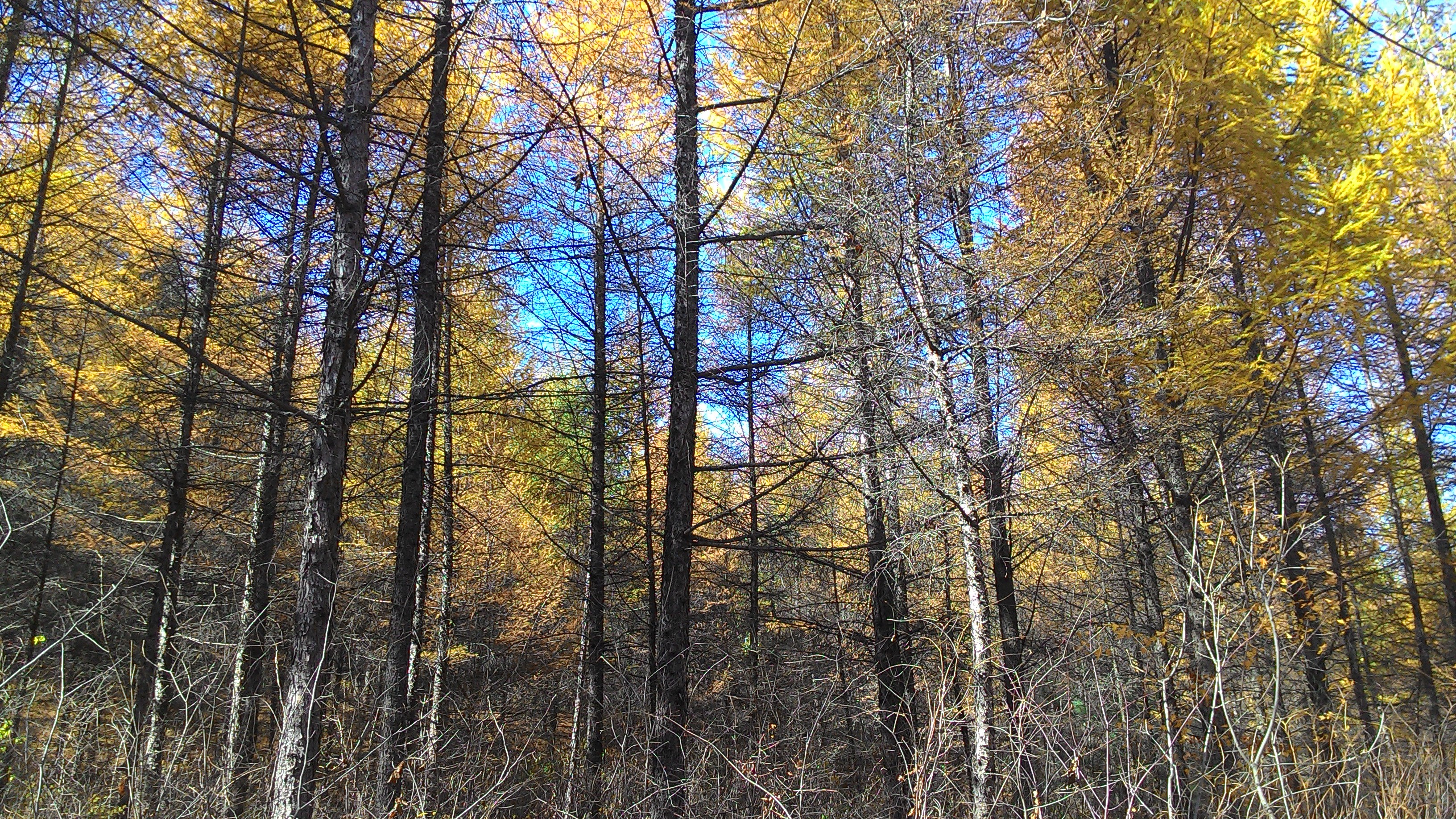 本溪青山沟旅游-本溪青山沟旅游景点-本溪青山
