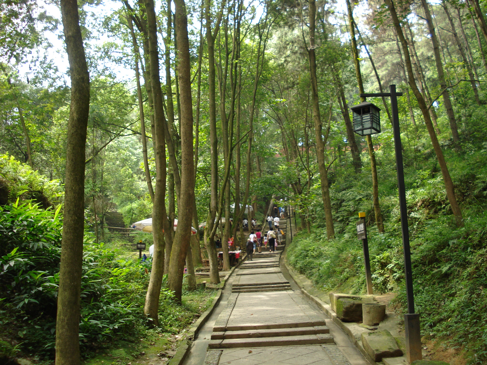 邛崃白鹤山-鹤林寺(2008年8月成都邛崃)