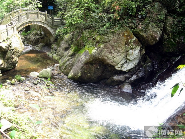 绿染金鸡谷——《走读九宫山》之三