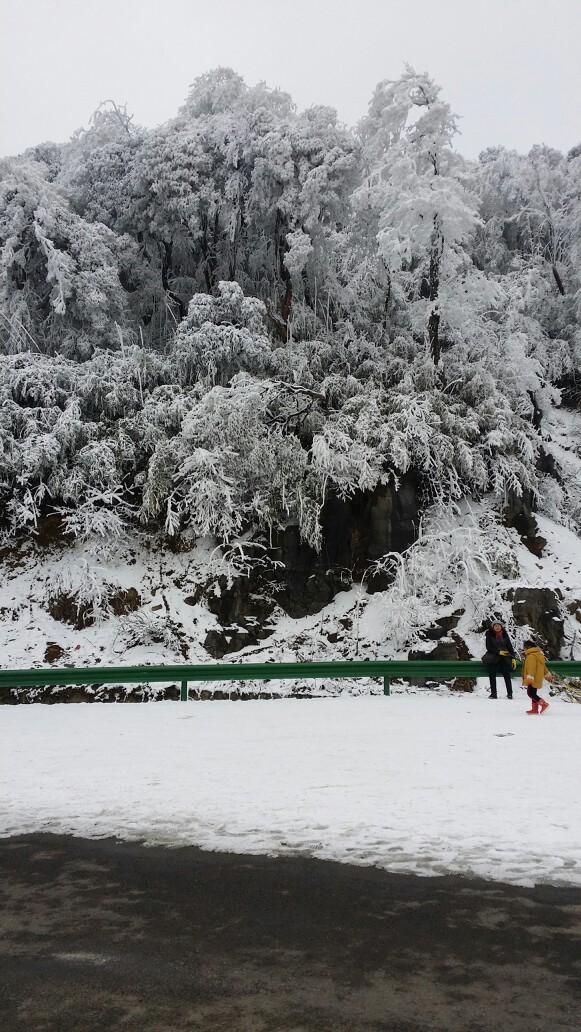 金佛山雪景 2.14 - 重庆游记攻略【携程攻略】