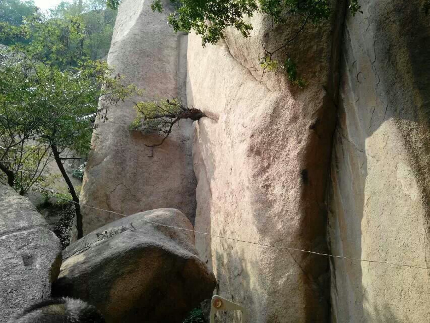 嵖岈山风景区,驻马店嵖岈山风景区攻略/地址/图片