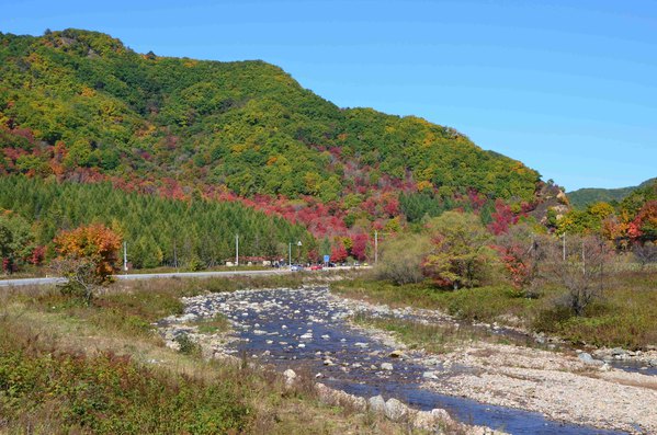 白山有多少人口_白山那个地方有桌子面