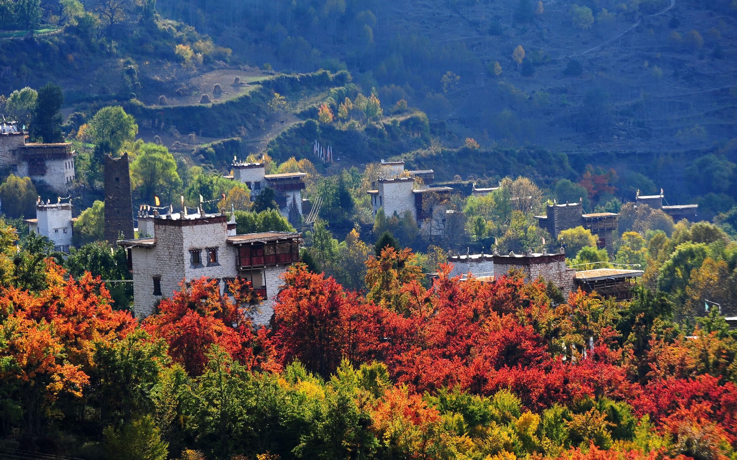 金秋十月去四川甘孜州必看红叶彩林有哪些地方推荐__凤凰网