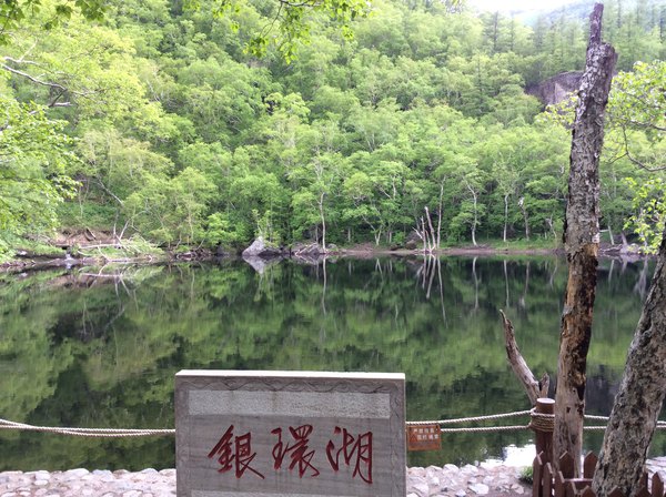 陕西白河天气预报_白河天气预报_二道白河天