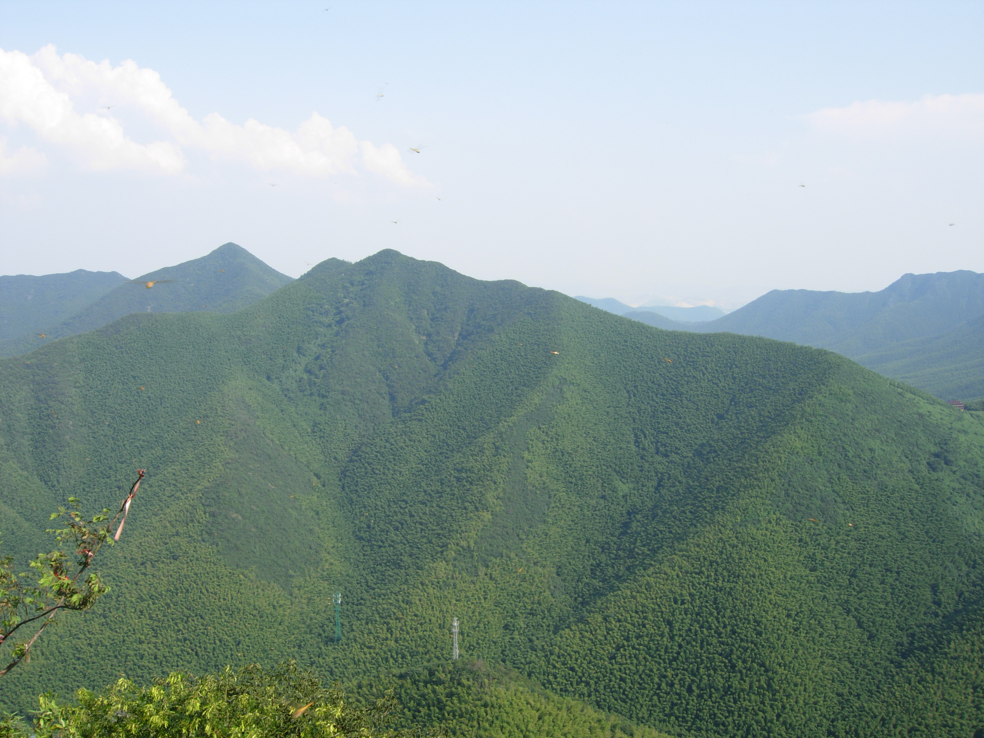 南山竹海