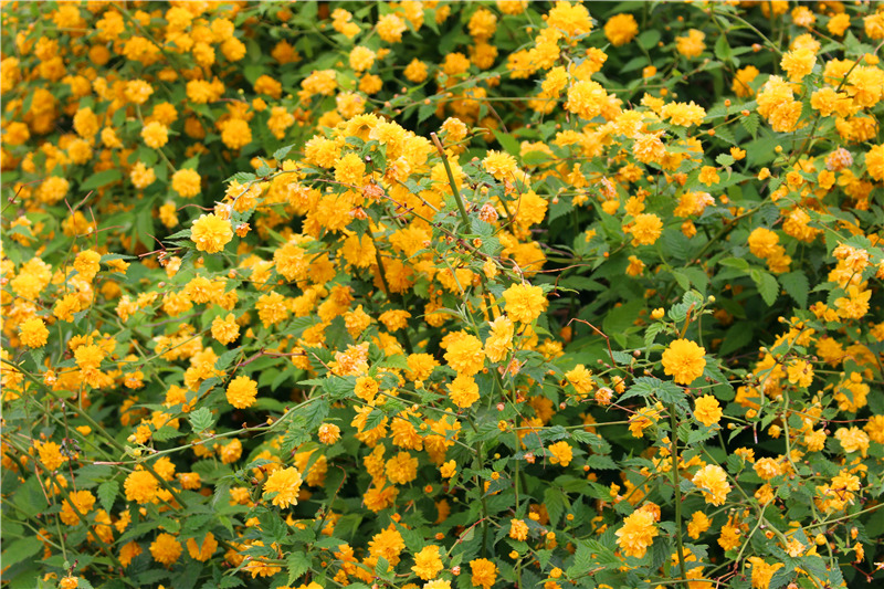 彩虹堂_换装小游戏彩虹堂_彩虹堂花千骨 - 图片