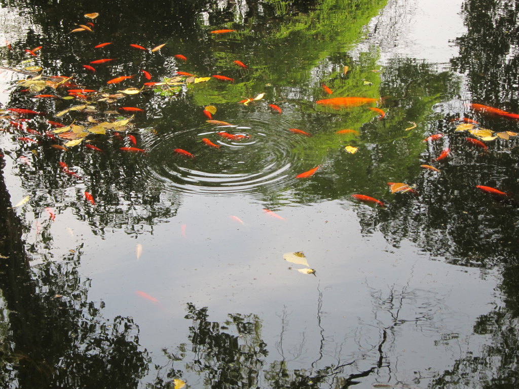 一个人从广州去杭州旅游要多少钱呢、旅行团带