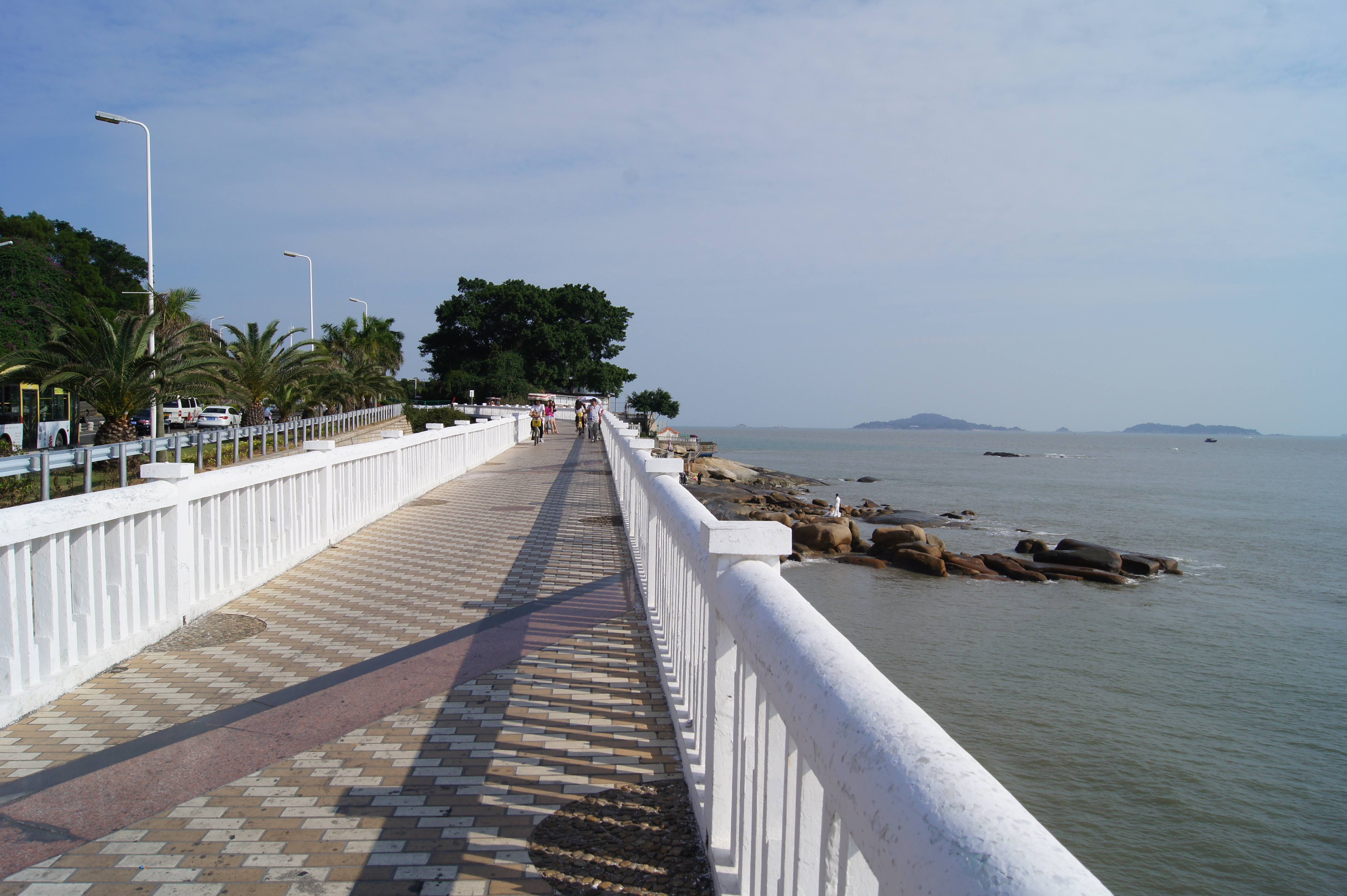 都是风景~                                               滨海大道