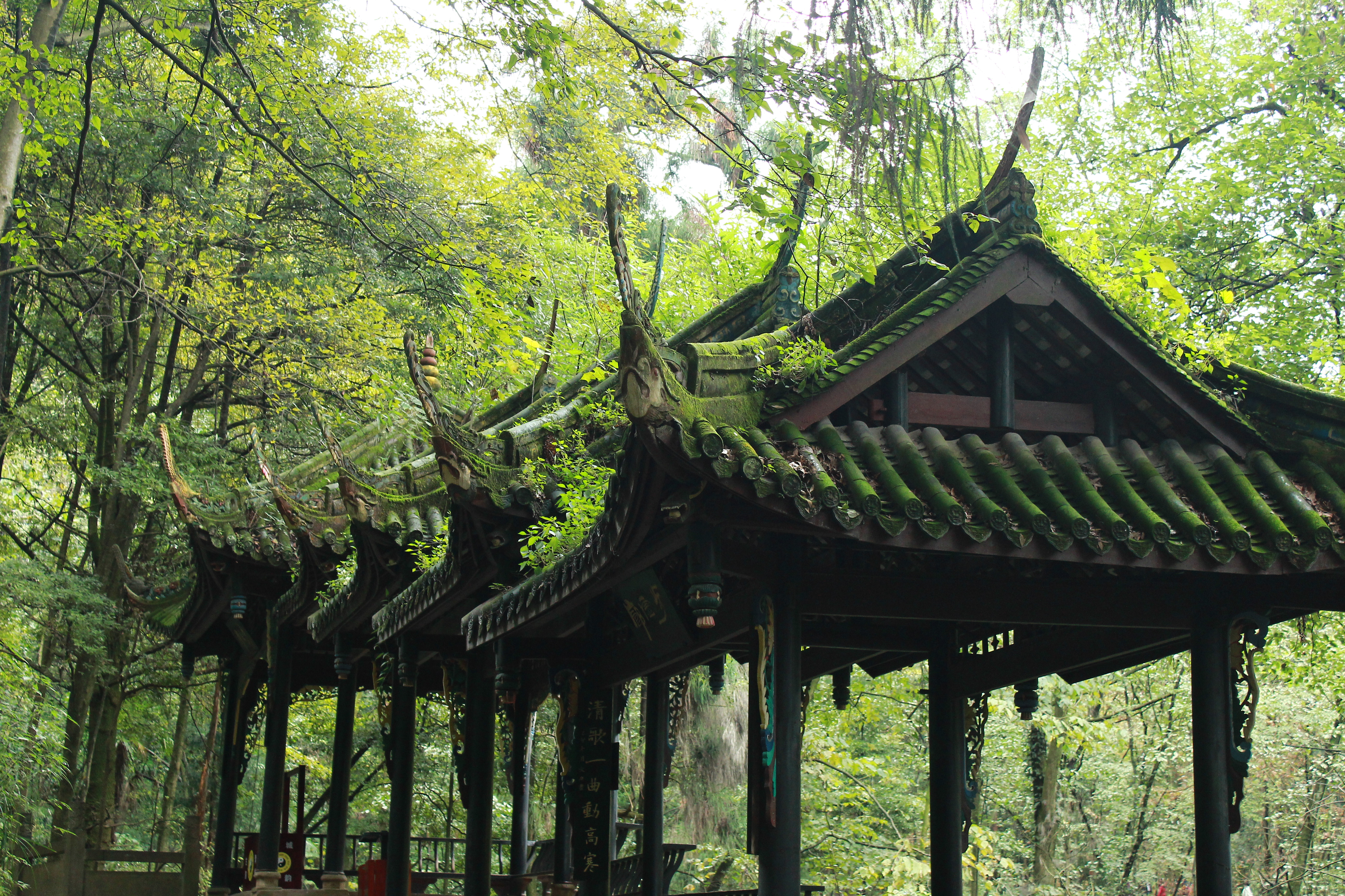 成都的风景