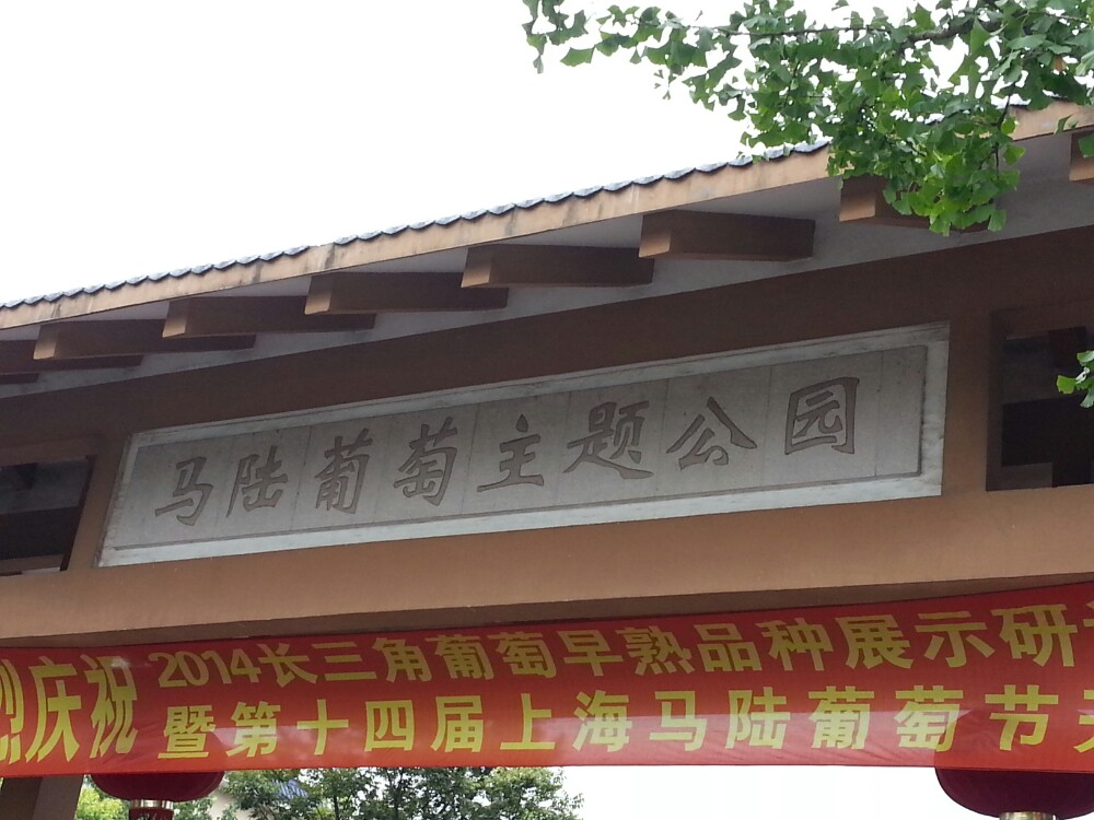 马陆葡萄主题公园