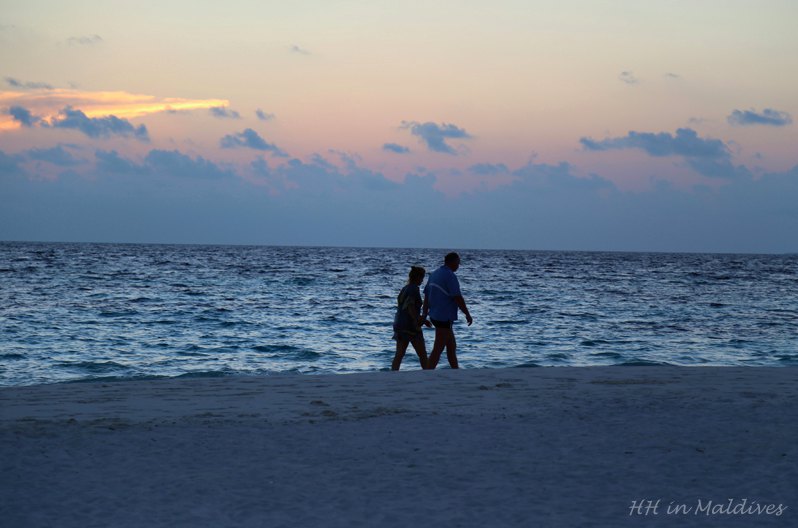 一对年老的夫妇,黄昏时牵手在海边散步,如此动人.