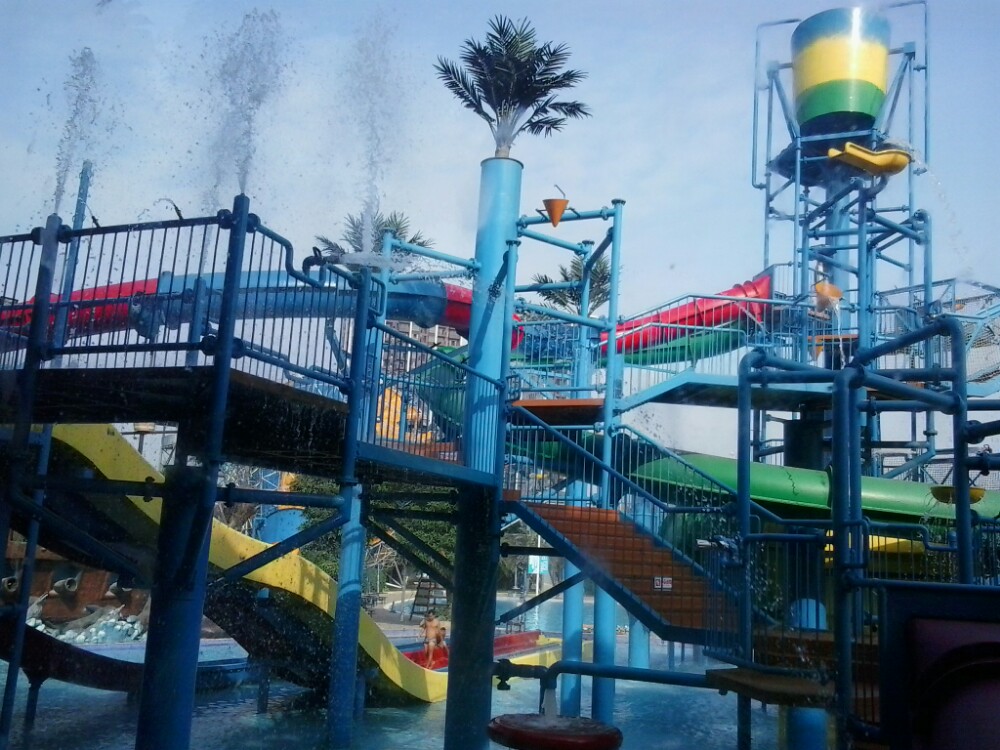 南宁市动物园的三大主题乐园具体是那些呢?_广西_奇飞知识网