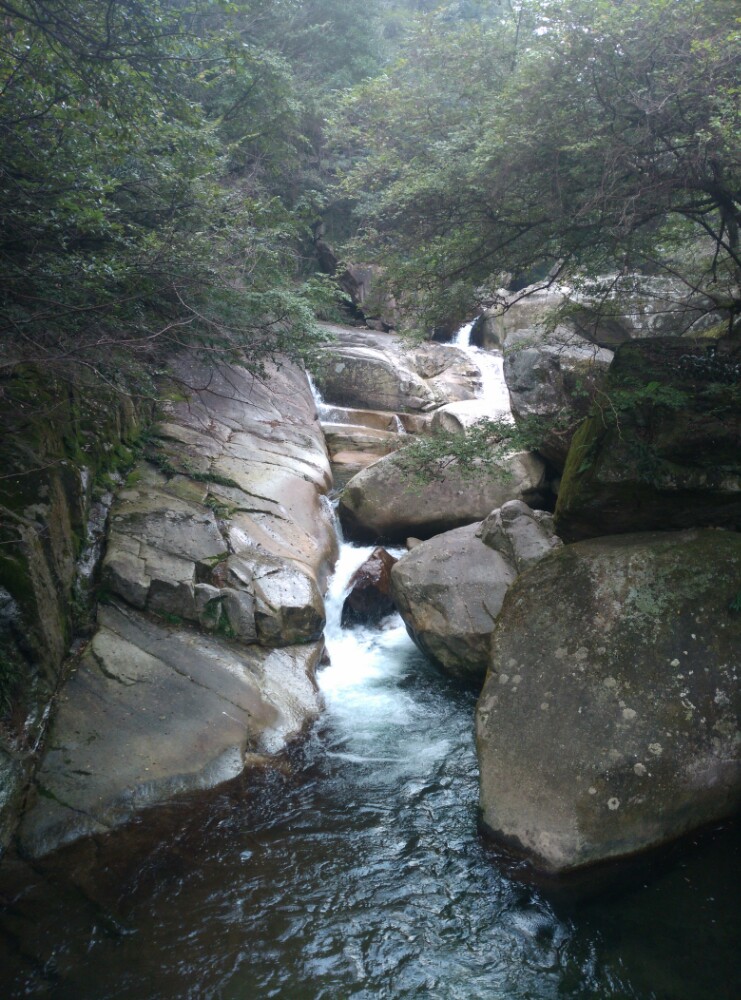 大鄣山卧龙谷,婺源大鄣山卧龙谷攻略/地址/图片/门票