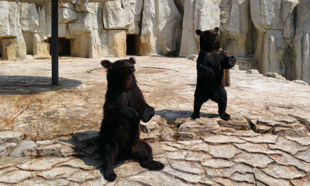 沈阳森林野生动物园图片