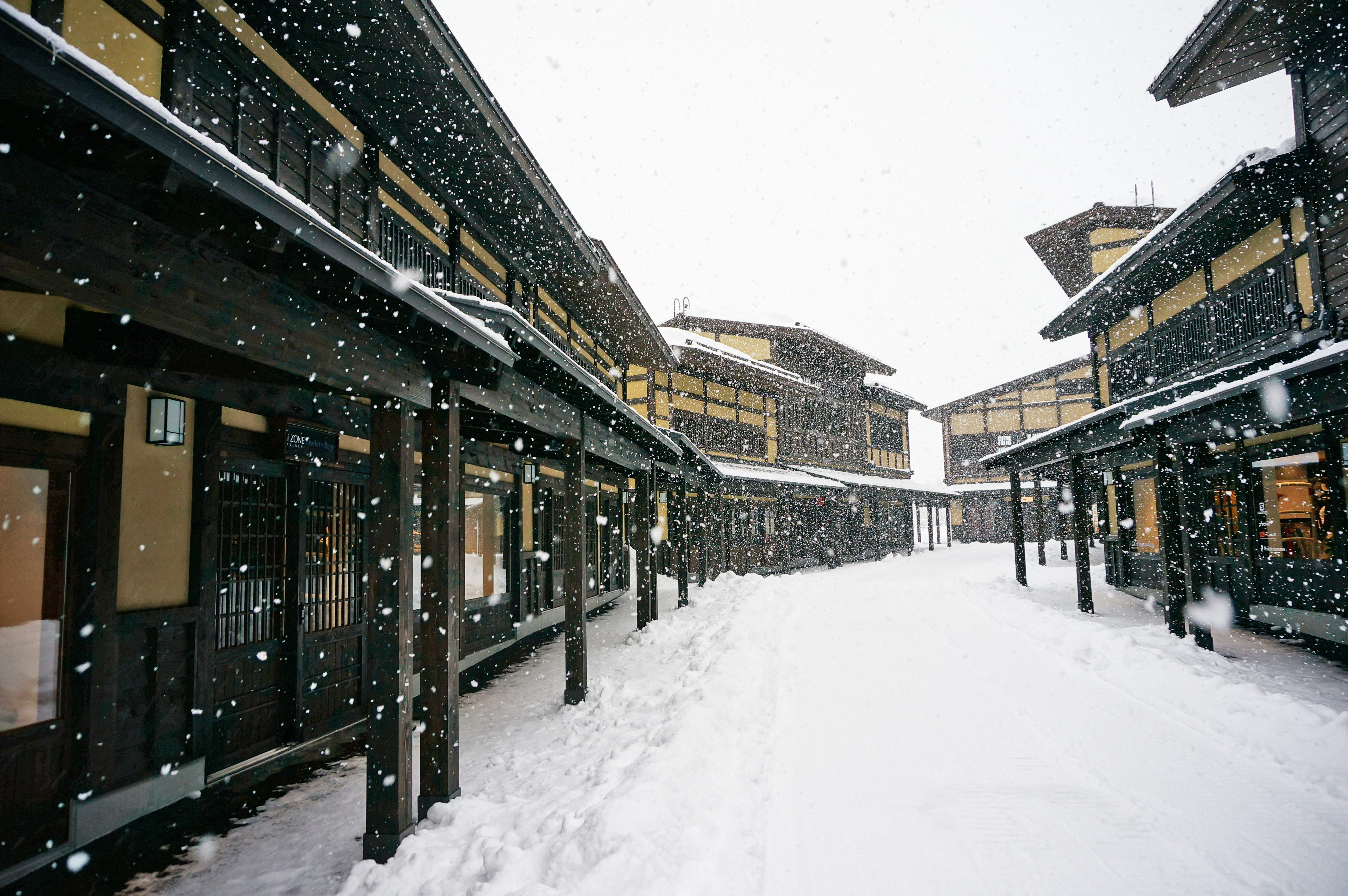 日本北海道+大阪+京都+箱根+东京8日7晚跟团游(4钻)·白色恋人+熊牧场 毛蟹海鲜锅 两晚温泉-【携程旅游】