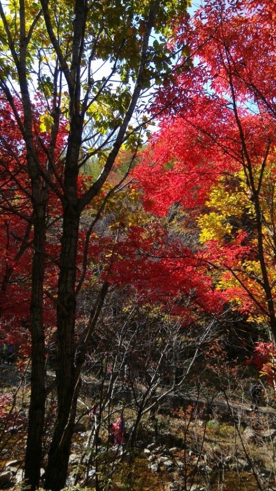 本溪老边沟风景区