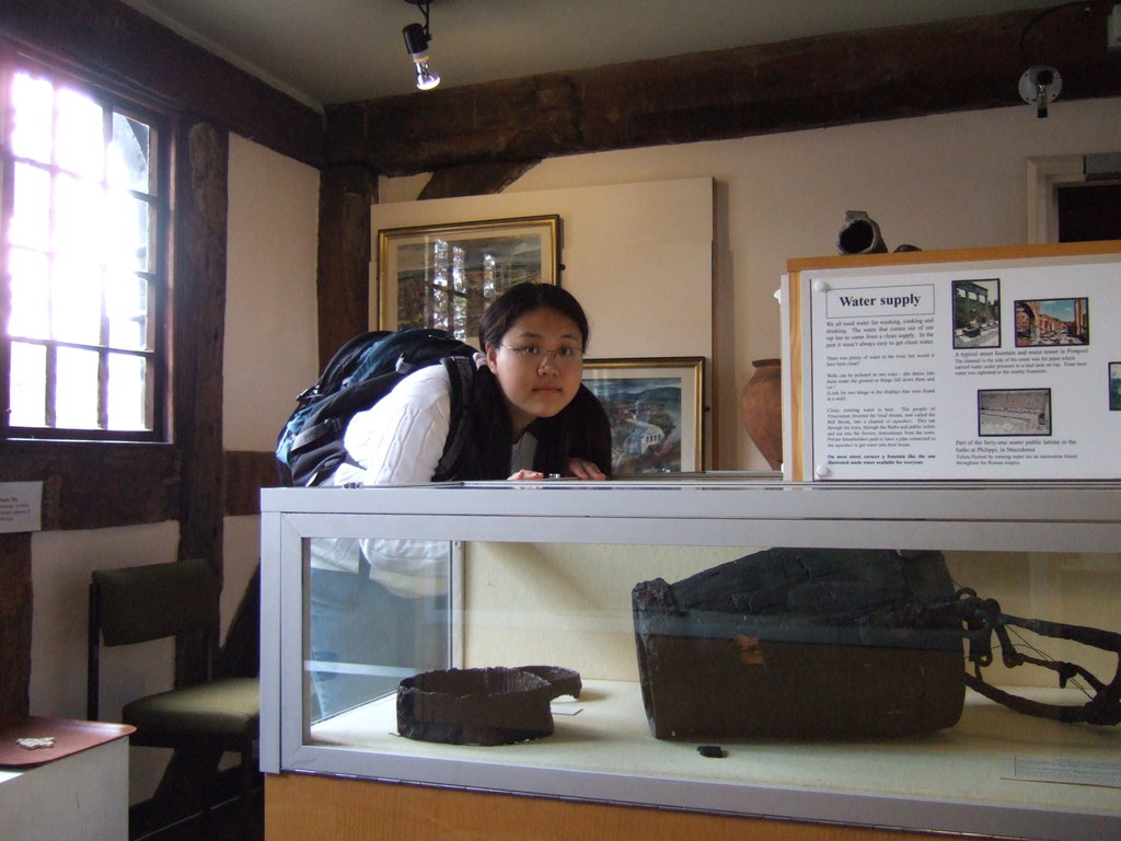 什么的达尔文形容词_二年级什么样的达尔文_