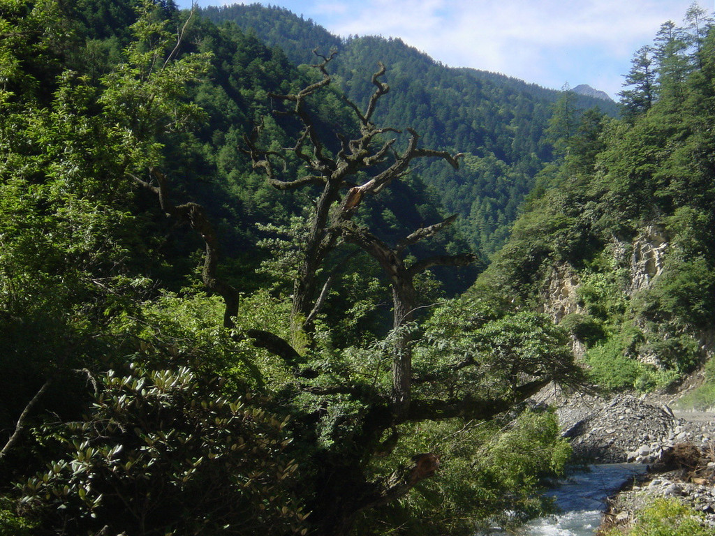 圣洁的四姑娘山——四川,成都,四姑娘山五日游