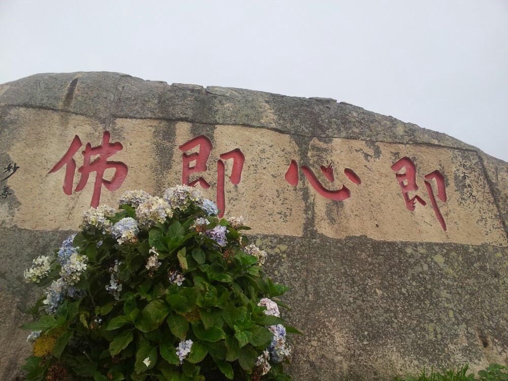普陀山朝拜之旅