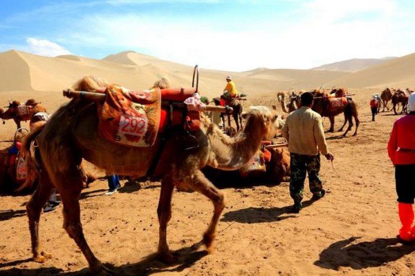 中年流浪记38---敦煌情 西宁梦 青海浮沉(上} - 敦
