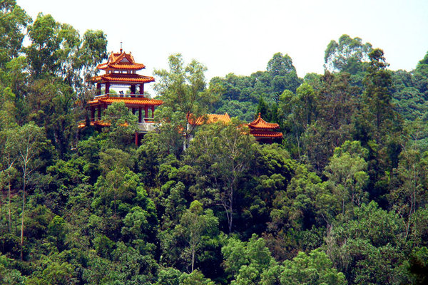 深圳仙湖植物园