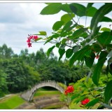 热作两院植物园旅游景点攻略图