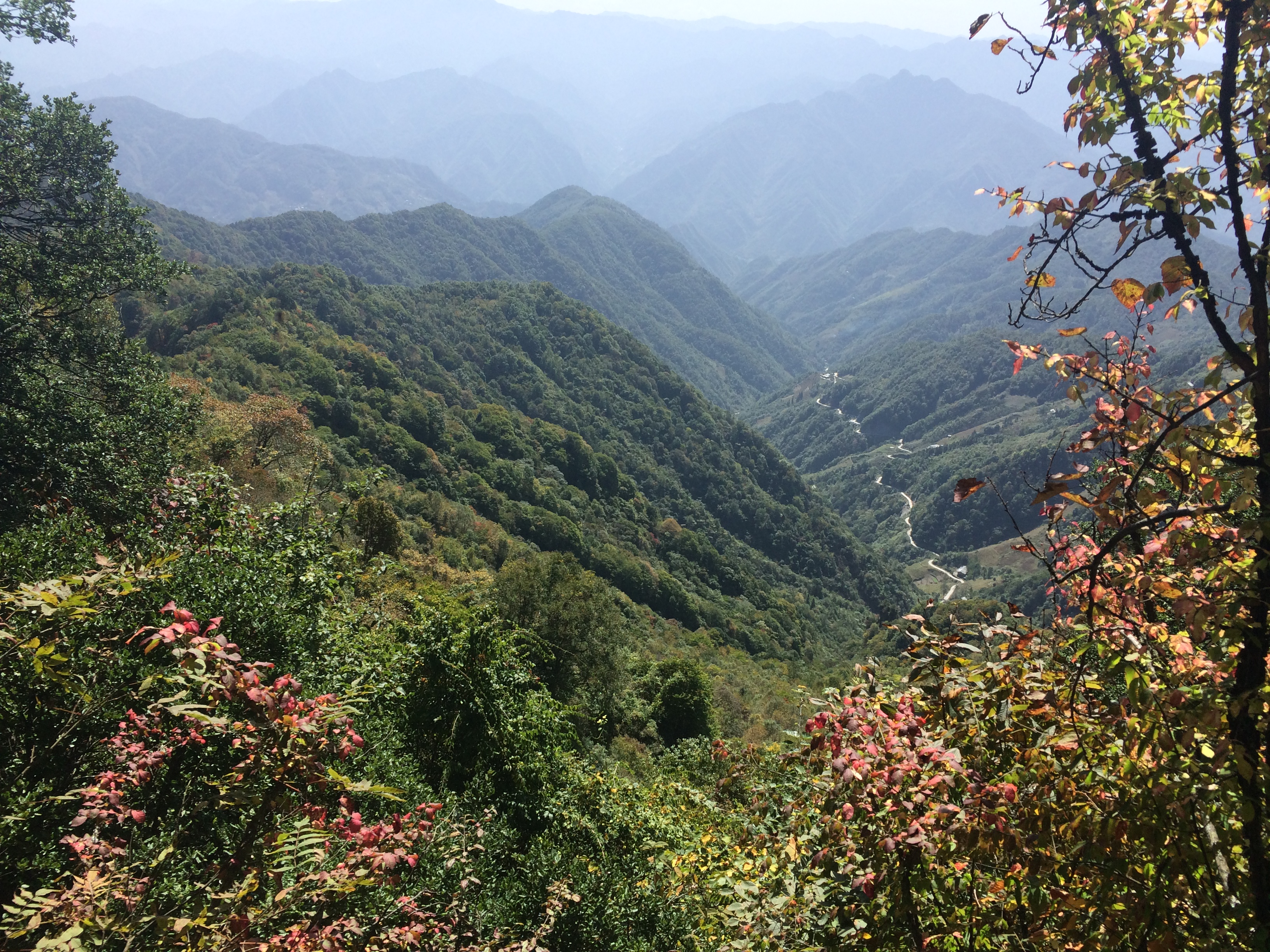 岚皋南宫山国家森林公园攻略,岚皋南宫山国家森林公园