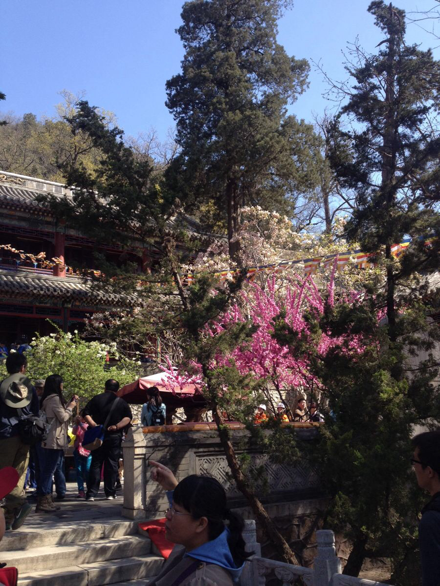 4月5日门头沟潭柘寺