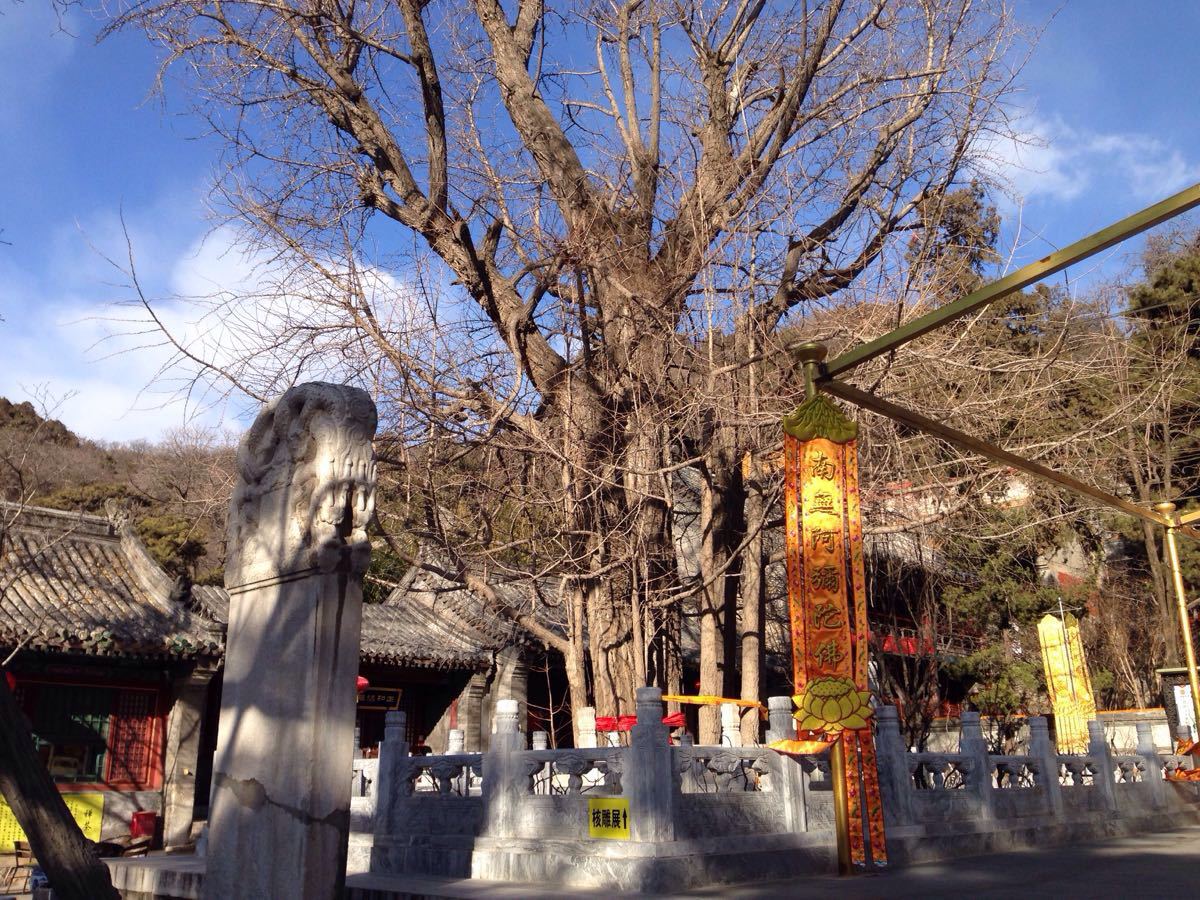 【携程攻略】北京潭柘寺适合朋友出游旅游吗,潭柘寺朋友出游景点推荐