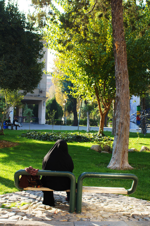 环境优美的德黑兰大学