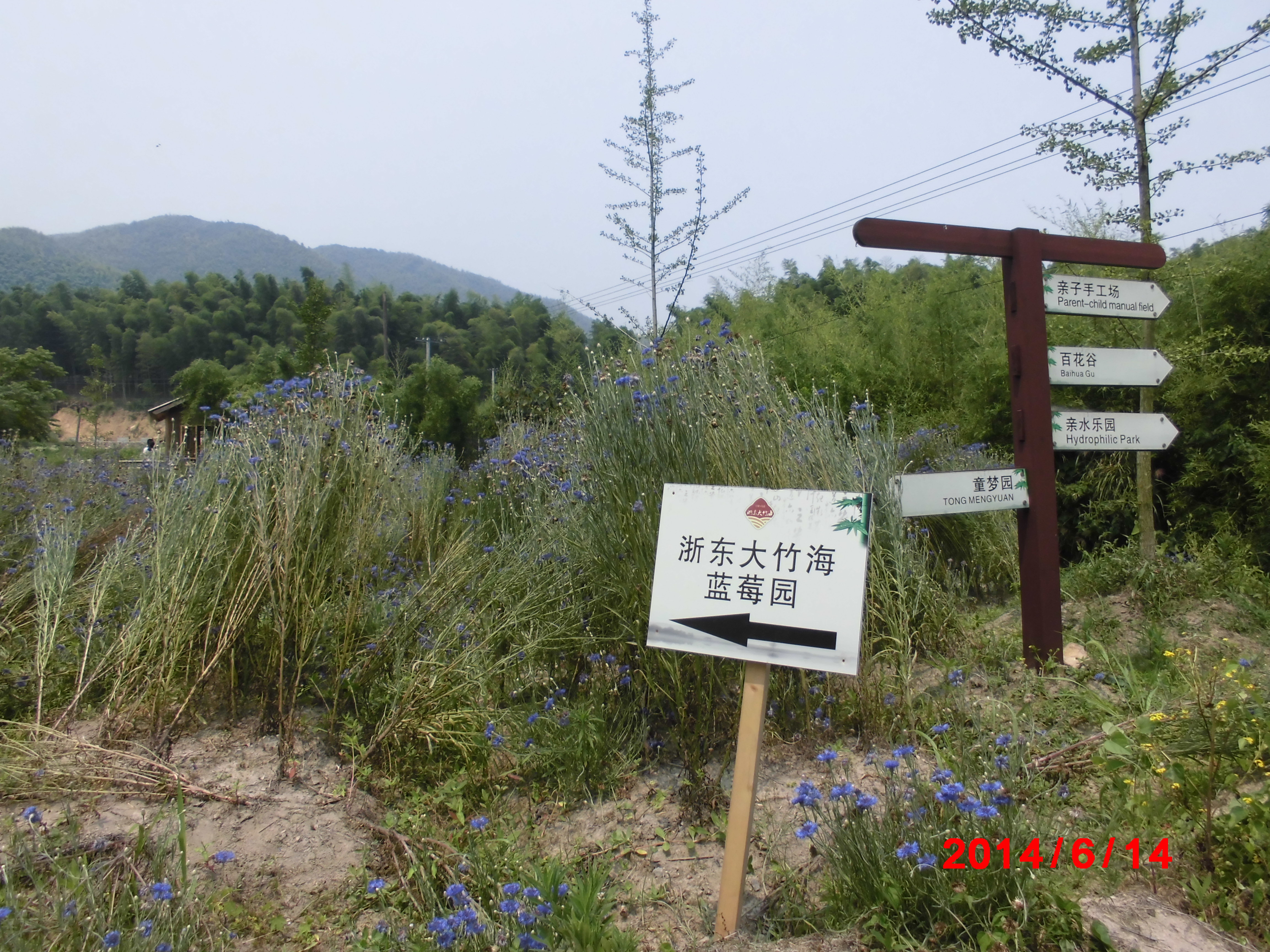 东钱湖福泉山景区