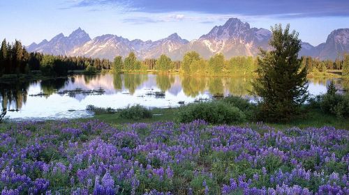 【台州】法国+瑞士+意大利12日跟团游·蔚蓝