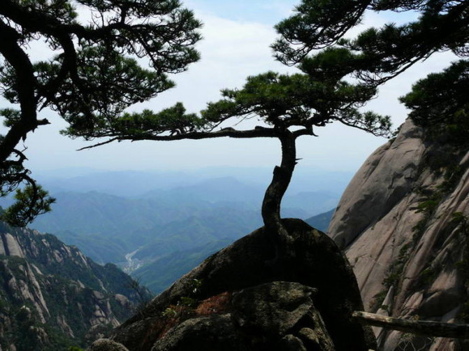 好运黄山行3---黄山第一天 - 黄山风景区游记攻略【携程攻略】