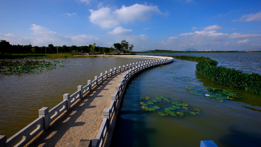 东莞阳光东莞阳光 松山湖阳光保险