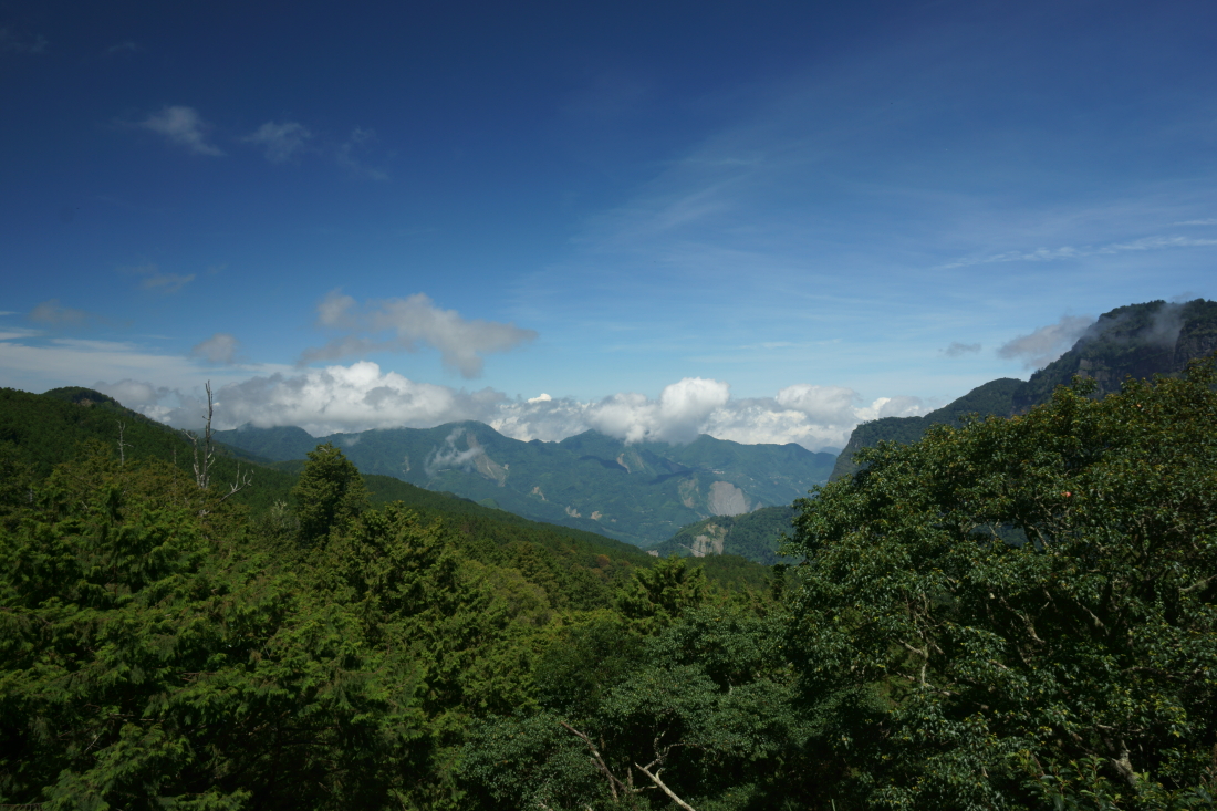 阿里山森林游乐区,嘉义阿里山森林游乐区攻略/地址/图片/门票【携程