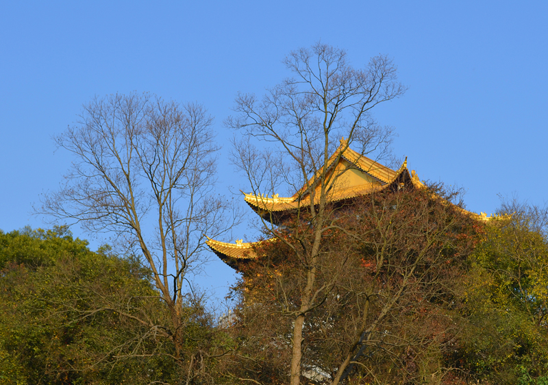 无想寺森林公园旅游景点攻略图