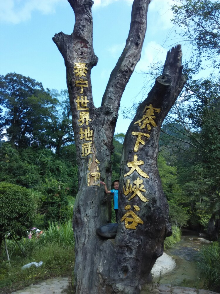 2019寨下大峡谷_旅游攻略_门票_地址_游记点评,泰宁