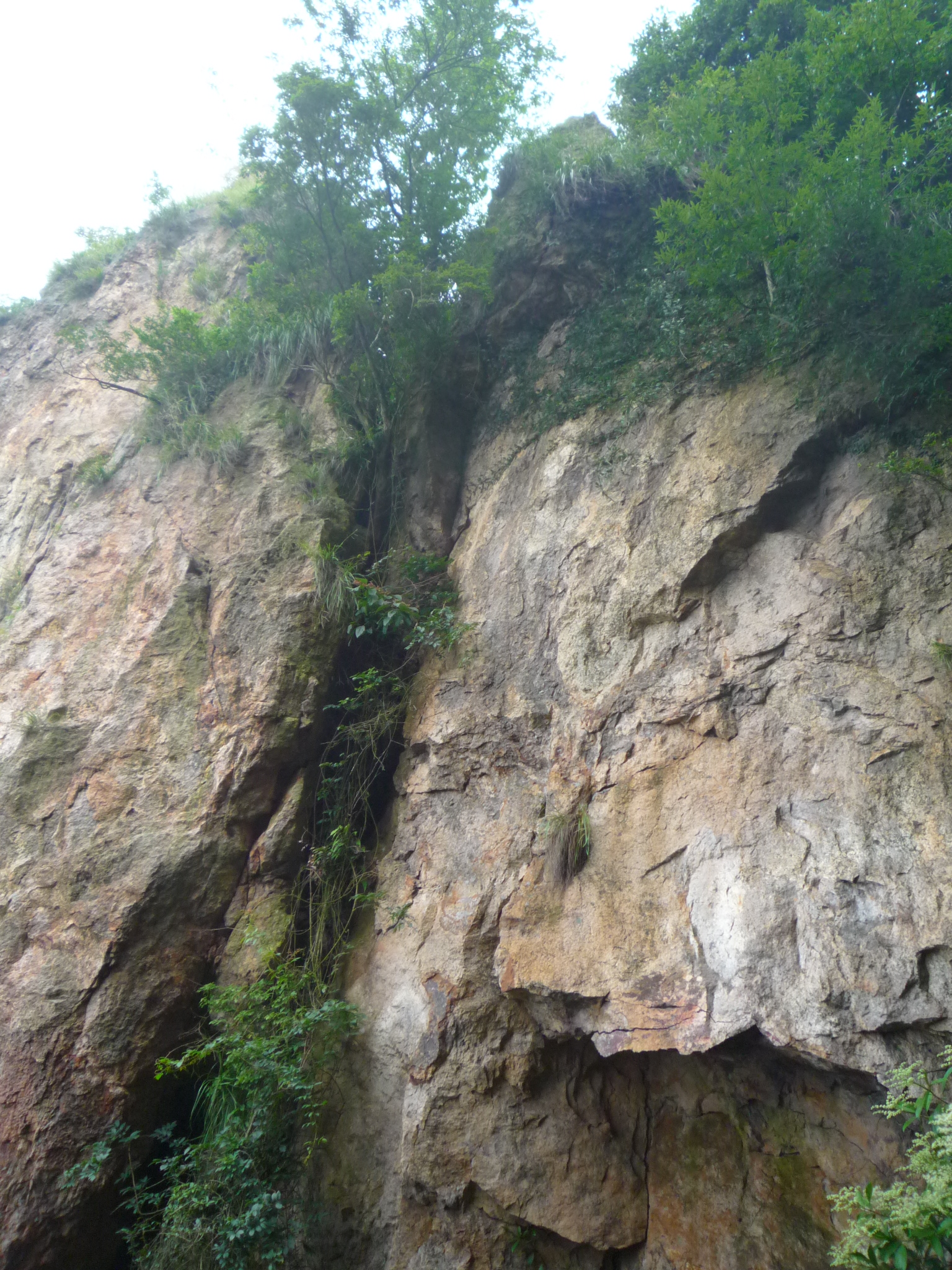 美丽仙华山