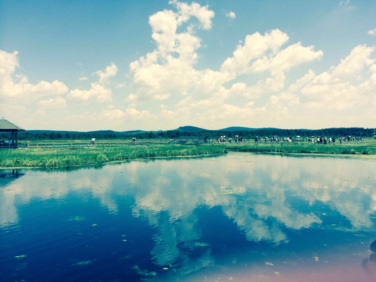 携程北京到承德旅游跟团好还是自由行好