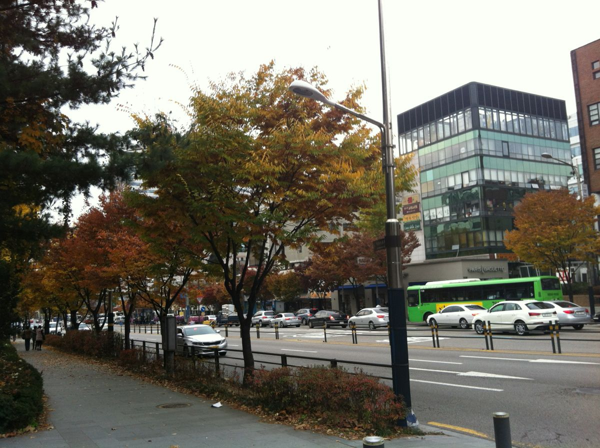 2019新村大学街_旅游攻略_门票_地址_游记点评,首尔旅游景点推荐 - 去