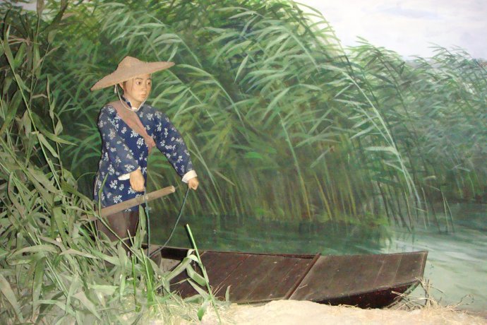 最爱沙家浜的芦苇荡