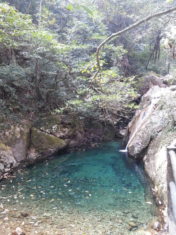 牛头山国家森林公园旅游景点攻略图