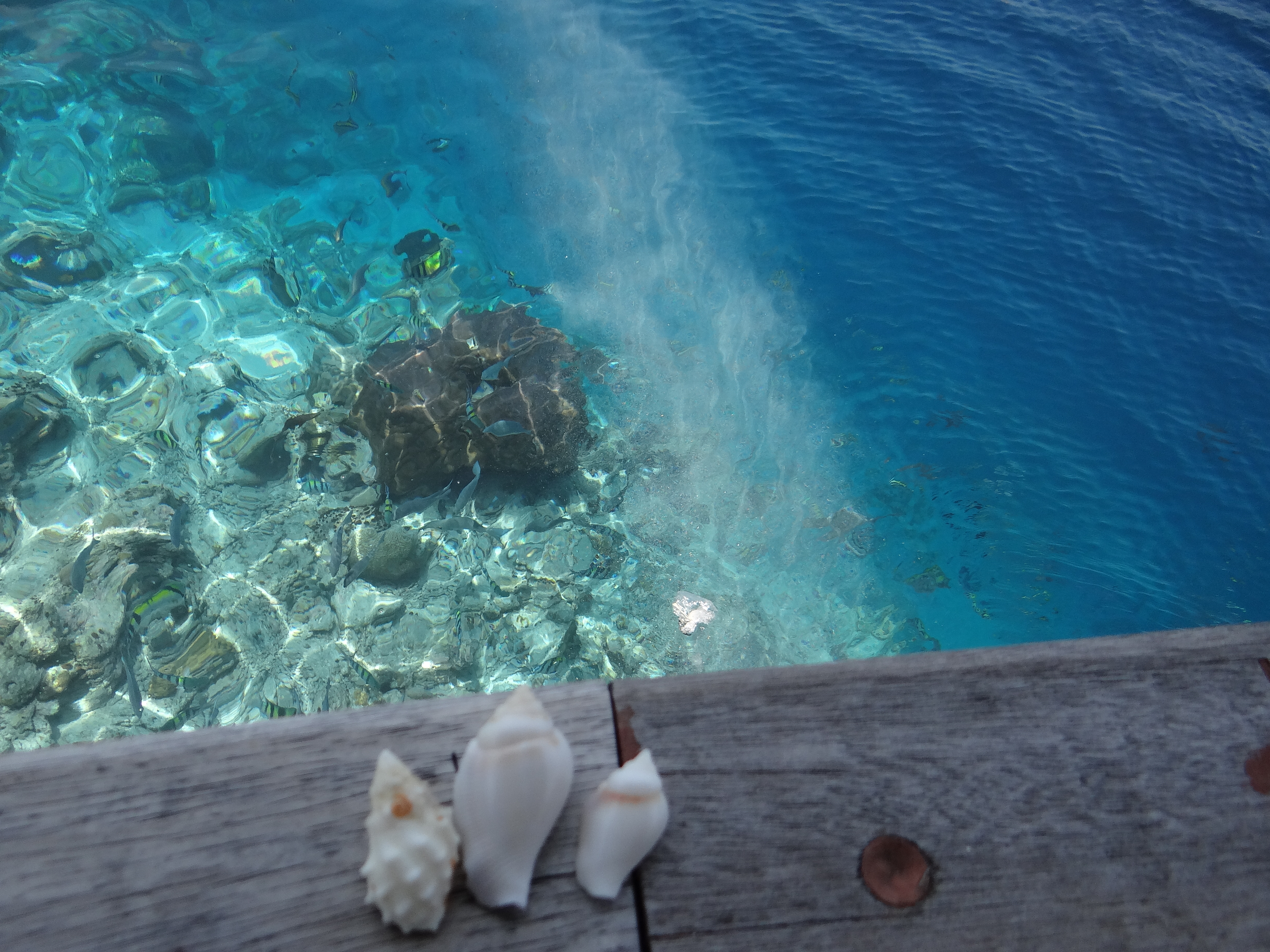 梦开始的地方--高淳区高级中学